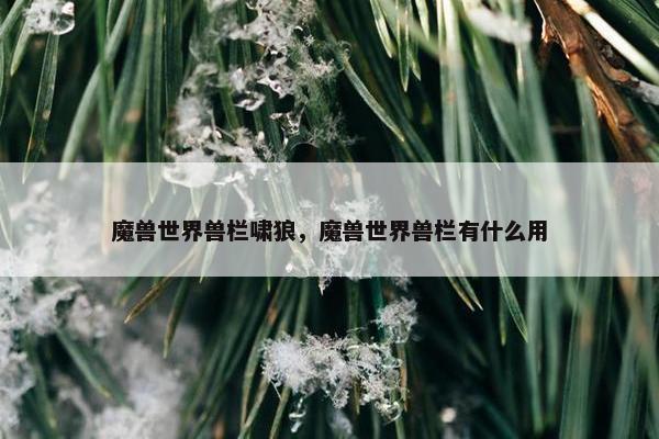 魔兽世界兽栏啸狼，魔兽世界兽栏有什么用
