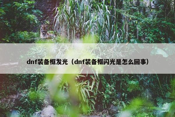 dnf装备框发光（dnf装备框闪光是怎么回事）