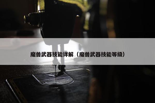 魔兽武器技能详解（魔兽武器技能等级）