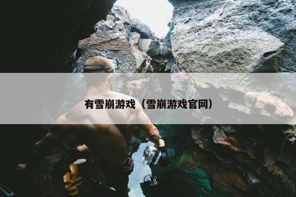 有雪崩游戏（雪崩游戏官网）