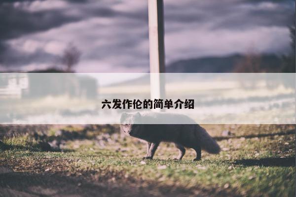 六发作伦的简单介绍