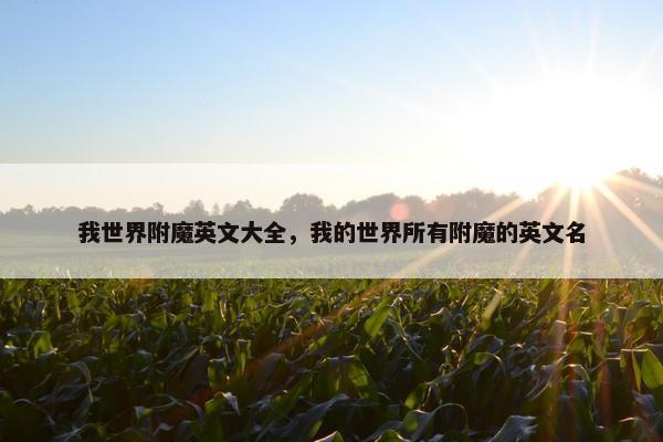 我世界附魔英文大全，我的世界所有附魔的英文名