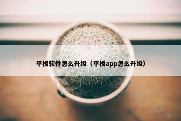 平板软件怎么升级（平板app怎么升级）