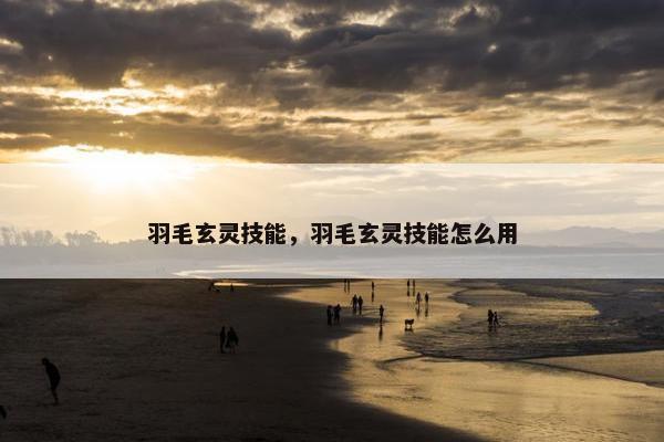羽毛玄灵技能，羽毛玄灵技能怎么用
