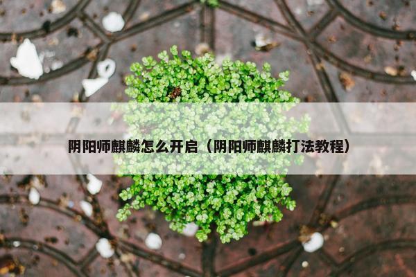 阴阳师麒麟怎么开启（阴阳师麒麟打法教程）
