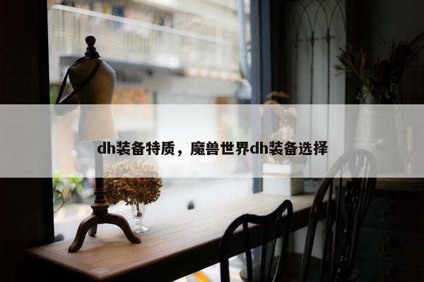 dh装备特质，魔兽世界dh装备选择