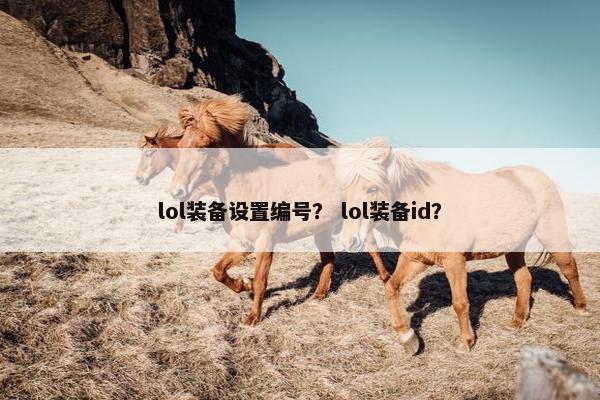 lol装备设置编号？ lol装备id？