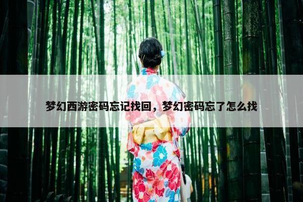 梦幻西游密码忘记找回，梦幻密码忘了怎么找