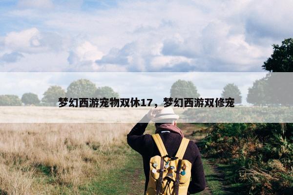 梦幻西游宠物双休17，梦幻西游双修宠