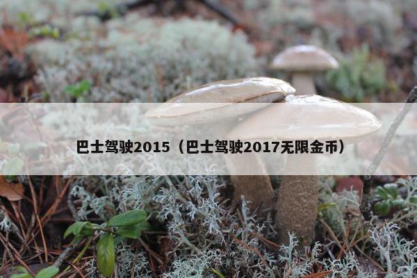 巴士驾驶2015（巴士驾驶2017无限金币）
