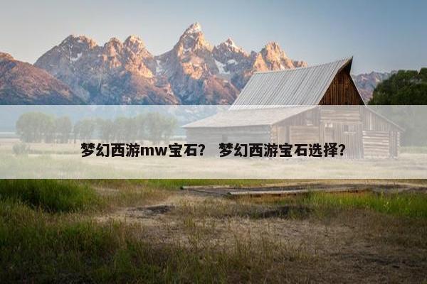 梦幻西游mw宝石？ 梦幻西游宝石选择？