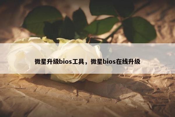 微星升级bios工具，微星bios在线升级