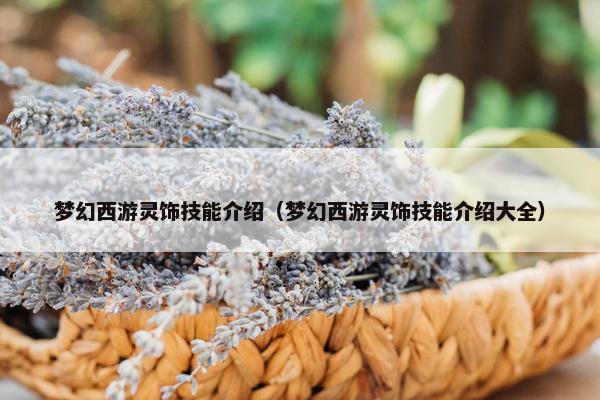 梦幻西游灵饰技能介绍（梦幻西游灵饰技能介绍大全）