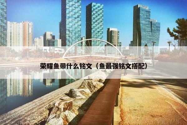 荣耀鱼带什么铭文（鱼最强铭文搭配）
