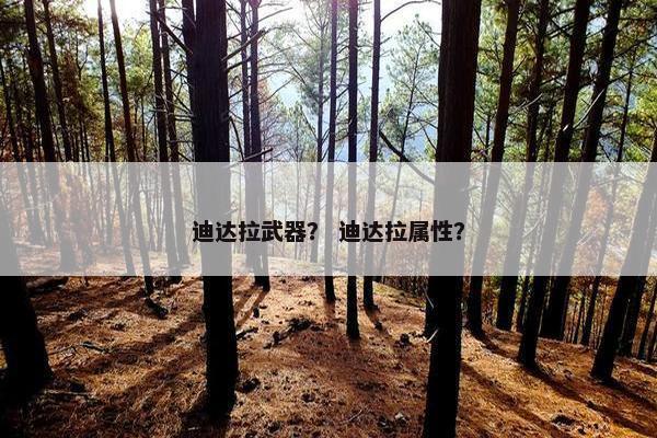 迪达拉武器？ 迪达拉属性？