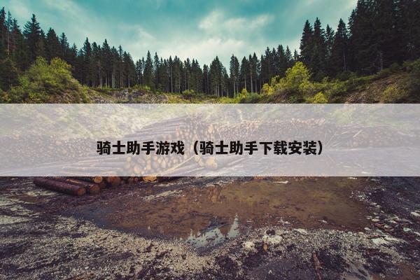 骑士助手游戏（骑士助手下载安装）
