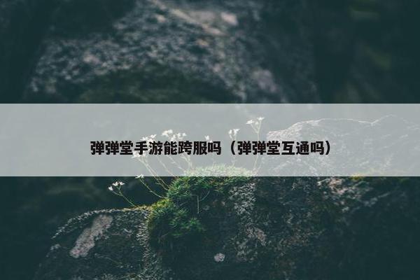 弹弹堂手游能跨服吗（弹弹堂互通吗）