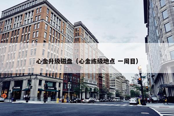 心金升级磁盘（心金练级地点 一周目）