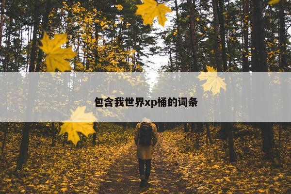 包含我世界xp桶的词条