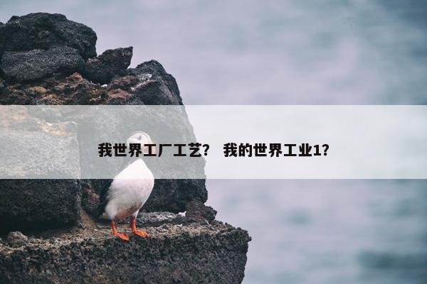 我世界工厂工艺？ 我的世界工业1？
