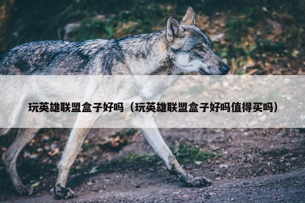 玩英雄联盟盒子好吗（玩英雄联盟盒子好吗值得买吗）