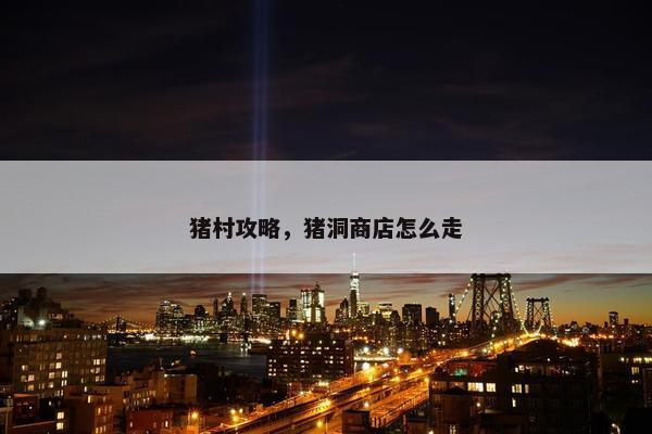 猪村攻略，猪洞商店怎么走