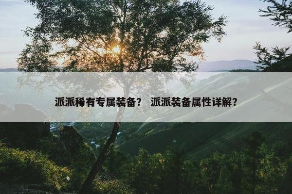 派派稀有专属装备？ 派派装备属性详解？