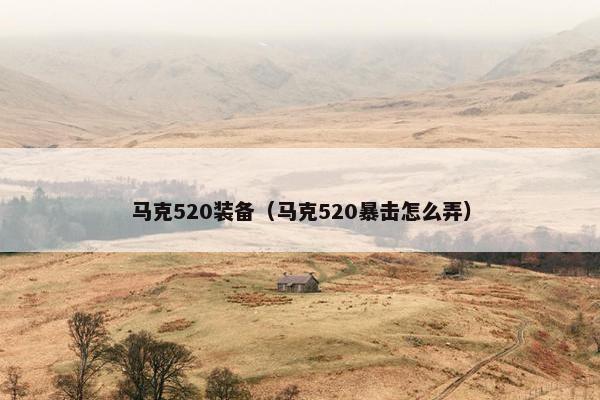 马克520装备（马克520暴击怎么弄）