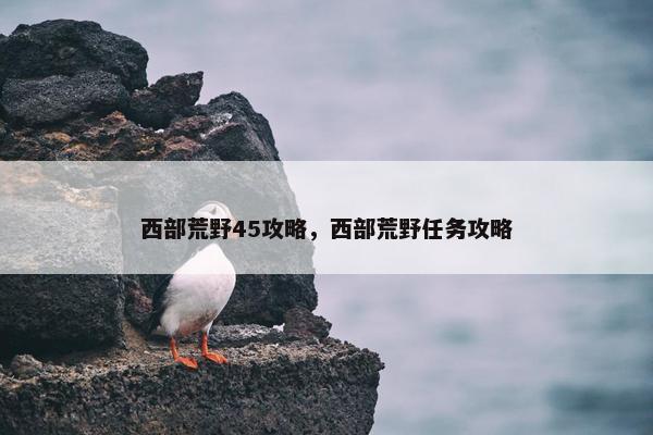 西部荒野45攻略，西部荒野任务攻略
