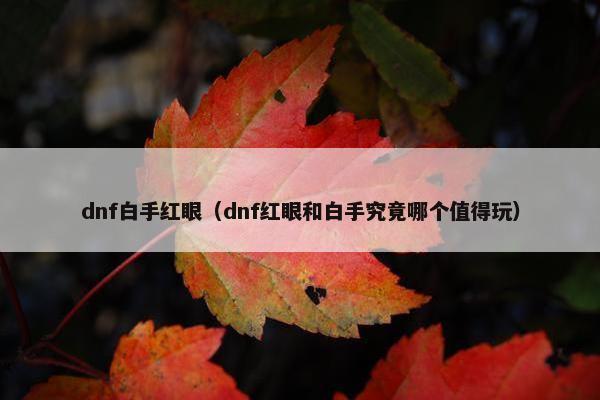 dnf白手红眼（dnf红眼和白手究竟哪个值得玩）