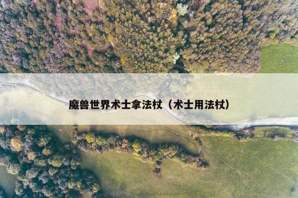 魔兽世界术士拿法杖（术士用法杖）