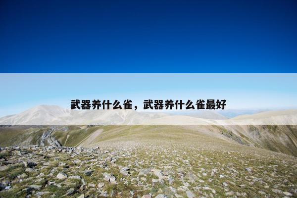武器养什么雀，武器养什么雀最好