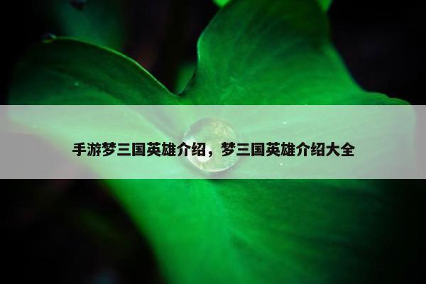 手游梦三国英雄介绍，梦三国英雄介绍大全