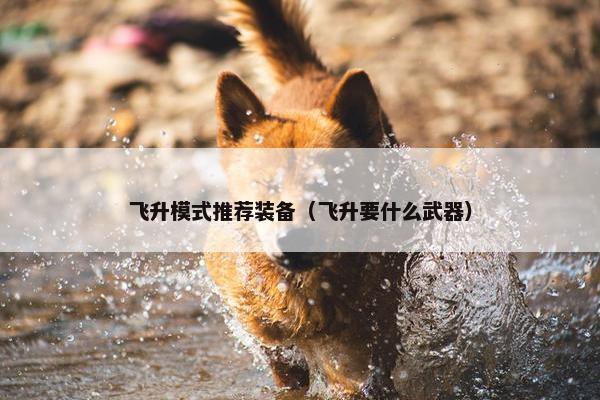 飞升模式推荐装备（飞升要什么武器）