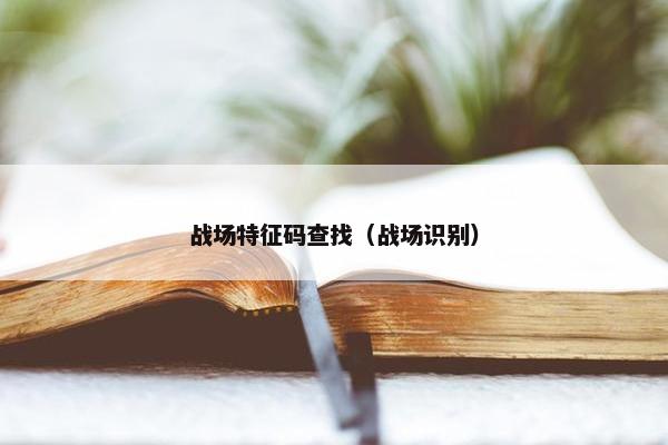 战场特征码查找（战场识别）