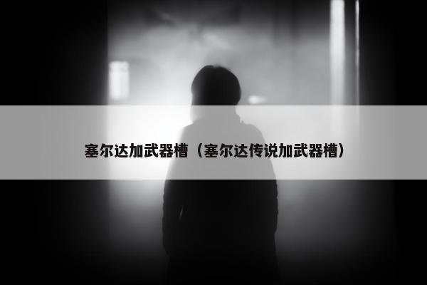 塞尔达加武器槽（塞尔达传说加武器槽）