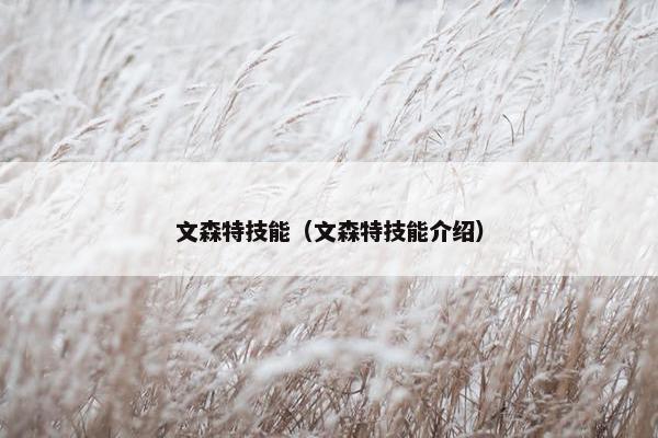 文森特技能（文森特技能介绍）
