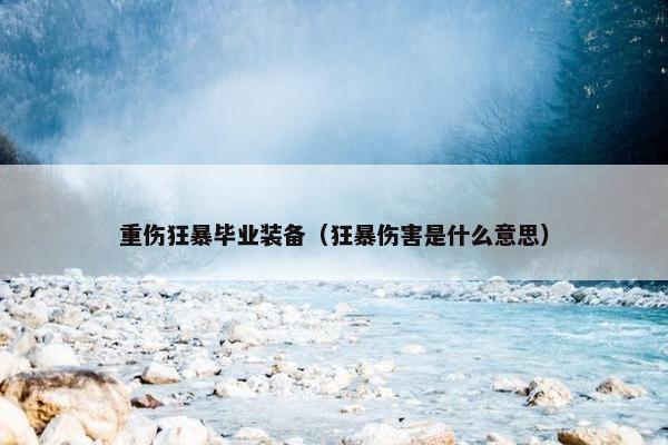 重伤狂暴毕业装备（狂暴伤害是什么意思）