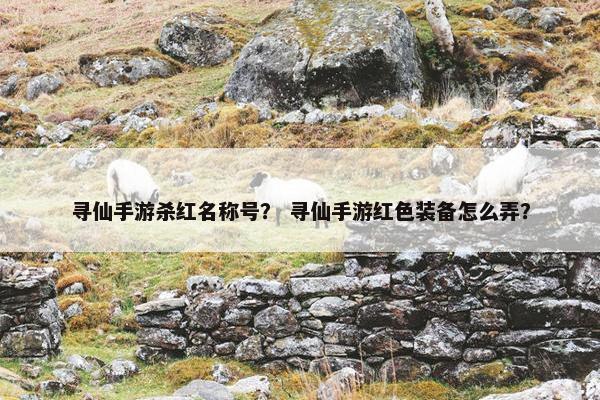 寻仙手游杀红名称号？ 寻仙手游红色装备怎么弄？