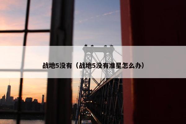 战地5没有（战地5没有准星怎么办）
