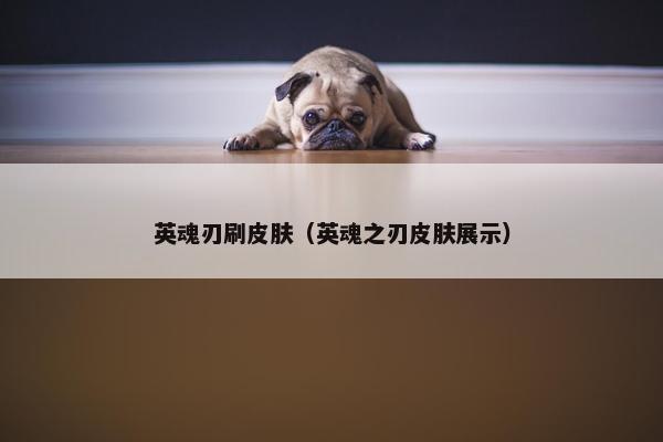 英魂刃刷皮肤（英魂之刃皮肤展示）