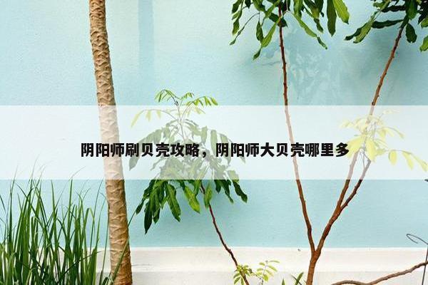 阴阳师刷贝壳攻略，阴阳师大贝壳哪里多