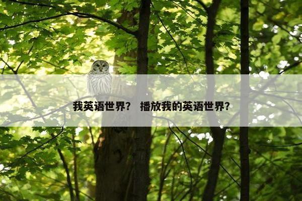 我英语世界？ 播放我的英语世界？
