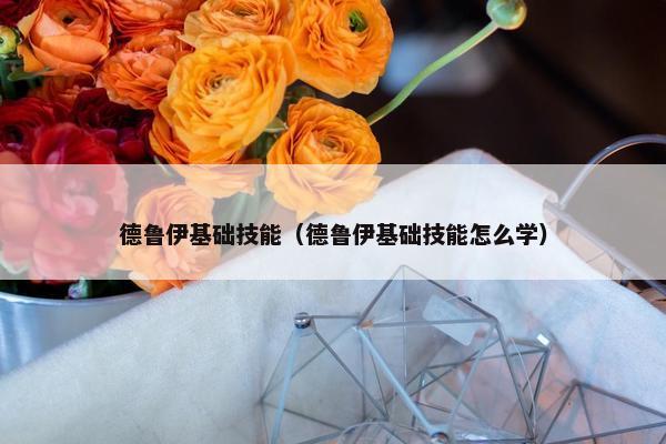 德鲁伊基础技能（德鲁伊基础技能怎么学）