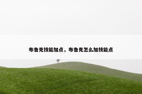 布鲁克技能加点，布鲁克怎么加技能点