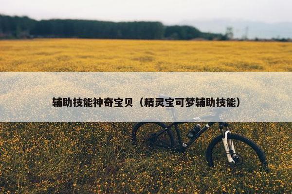 辅助技能神奇宝贝（精灵宝可梦辅助技能）