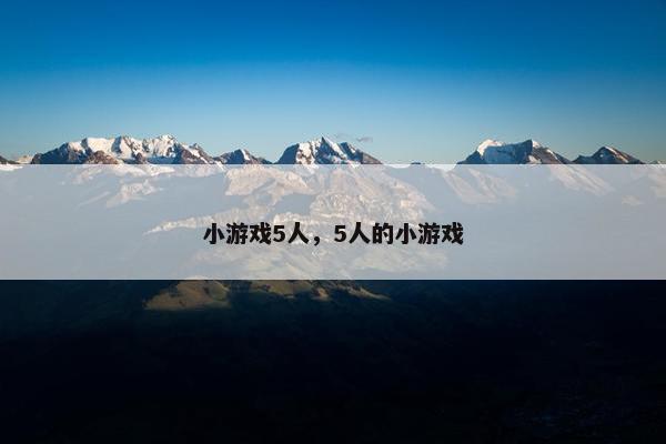 小游戏5人，5人的小游戏