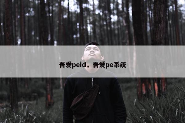 吾爱peid，吾爱pe系统