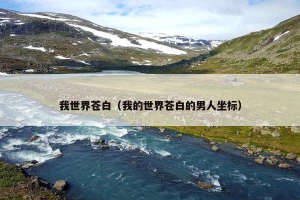 我世界苍白（我的世界苍白的男人坐标）