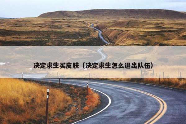 决定求生买皮肤（决定求生怎么退出队伍）